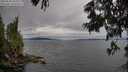 ./images/koeye/fitz-hugh/20250628/fitz-hugh20250628_184011M.jpg