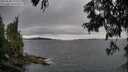 ./images/koeye/fitz-hugh/20250628/fitz-hugh20250628_191509M.jpg