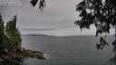 ./images/koeye/fitz-hugh/20250628/fitz-hugh20250628_193508M.jpg