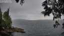 ./images/koeye/fitz-hugh/20250628/fitz-hugh20250628_194509M.jpg