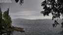 ./images/koeye/fitz-hugh/20250628/fitz-hugh20250628_195009M.jpg