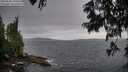 ./images/koeye/fitz-hugh/20250628/fitz-hugh20250628_195509M.jpg