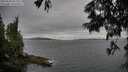 ./images/koeye/fitz-hugh/20250628/fitz-hugh20250628_202009M.jpg