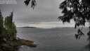 ./images/koeye/fitz-hugh/20250628/fitz-hugh20250628_202509M.jpg