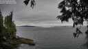 ./images/koeye/fitz-hugh/20250628/fitz-hugh20250628_203008M.jpg