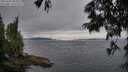 ./images/koeye/fitz-hugh/20250628/fitz-hugh20250628_204509M.jpg
