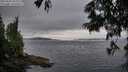./images/koeye/fitz-hugh/20250628/fitz-hugh20250628_205007M.jpg