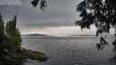 ./images/koeye/fitz-hugh/20250628/fitz-hugh20250628_205509M.jpg