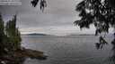 ./images/koeye/fitz-hugh/20250628/fitz-hugh20250628_210006M.jpg