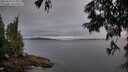 ./images/koeye/fitz-hugh/20250628/fitz-hugh20250628_213509M.jpg