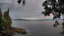 ./images/koeye/fitz-hugh/20250628/fitz-hugh20250628_214009M.jpg