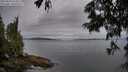 ./images/koeye/fitz-hugh/20250628/fitz-hugh20250628_214509M.jpg