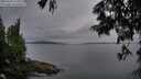./images/koeye/fitz-hugh/20250628/fitz-hugh20250628_220009M.jpg