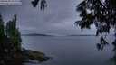 ./images/koeye/fitz-hugh/20250628/fitz-hugh20250628_221508M.jpg