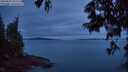 ./images/koeye/fitz-hugh/20250628/fitz-hugh20250628_222508M.jpg