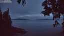 ./images/koeye/fitz-hugh/20250628/fitz-hugh20250628_224009M.jpg