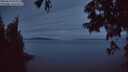 ./images/koeye/fitz-hugh/20250629/fitz-hugh20250629_044009M.jpg