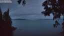 ./images/koeye/fitz-hugh/20250629/fitz-hugh20250629_044508M.jpg