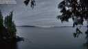 ./images/koeye/fitz-hugh/20250629/fitz-hugh20250629_050509M.jpg