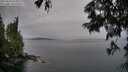 ./images/koeye/fitz-hugh/20250629/fitz-hugh20250629_054009M.jpg