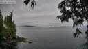 ./images/koeye/fitz-hugh/20250629/fitz-hugh20250629_060011M.jpg
