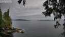 ./images/koeye/fitz-hugh/20250629/fitz-hugh20250629_063009M.jpg