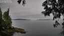 ./images/koeye/fitz-hugh/20250629/fitz-hugh20250629_074009M.jpg