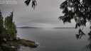 ./images/koeye/fitz-hugh/20250629/fitz-hugh20250629_074508M.jpg
