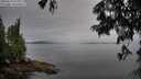 ./images/koeye/fitz-hugh/20250629/fitz-hugh20250629_075011M.jpg