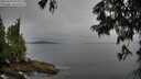 ./images/koeye/fitz-hugh/20250629/fitz-hugh20250629_080012M.jpg