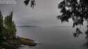 ./images/koeye/fitz-hugh/20250629/fitz-hugh20250629_080510M.jpg