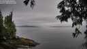 ./images/koeye/fitz-hugh/20250629/fitz-hugh20250629_082510M.jpg