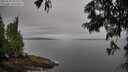 ./images/koeye/fitz-hugh/20250629/fitz-hugh20250629_083510M.jpg