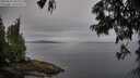 ./images/koeye/fitz-hugh/20250629/fitz-hugh20250629_084010M.jpg