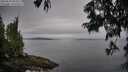 ./images/koeye/fitz-hugh/20250629/fitz-hugh20250629_084511M.jpg