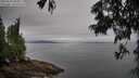 ./images/koeye/fitz-hugh/20250629/fitz-hugh20250629_085011M.jpg