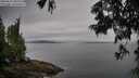 ./images/koeye/fitz-hugh/20250629/fitz-hugh20250629_085510M.jpg