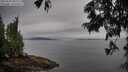 ./images/koeye/fitz-hugh/20250629/fitz-hugh20250629_090012M.jpg