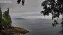 ./images/koeye/fitz-hugh/20250629/fitz-hugh20250629_090507M.jpg