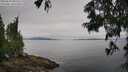 ./images/koeye/fitz-hugh/20250629/fitz-hugh20250629_092510M.jpg