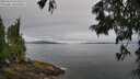 ./images/koeye/fitz-hugh/20250629/fitz-hugh20250629_093510M.jpg