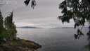./images/koeye/fitz-hugh/20250629/fitz-hugh20250629_094510M.jpg
