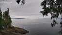 ./images/koeye/fitz-hugh/20250629/fitz-hugh20250629_095010M.jpg