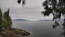 ./images/koeye/fitz-hugh/20250629/fitz-hugh20250629_100509M.jpg