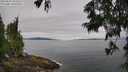 ./images/koeye/fitz-hugh/20250629/fitz-hugh20250629_101510M.jpg