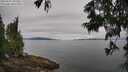 ./images/koeye/fitz-hugh/20250629/fitz-hugh20250629_102010M.jpg