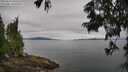 ./images/koeye/fitz-hugh/20250629/fitz-hugh20250629_102510M.jpg