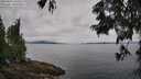./images/koeye/fitz-hugh/20250629/fitz-hugh20250629_104511M.jpg