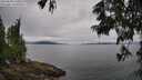./images/koeye/fitz-hugh/20250629/fitz-hugh20250629_110509M.jpg