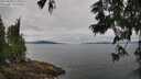 ./images/koeye/fitz-hugh/20250629/fitz-hugh20250629_115009M.jpg